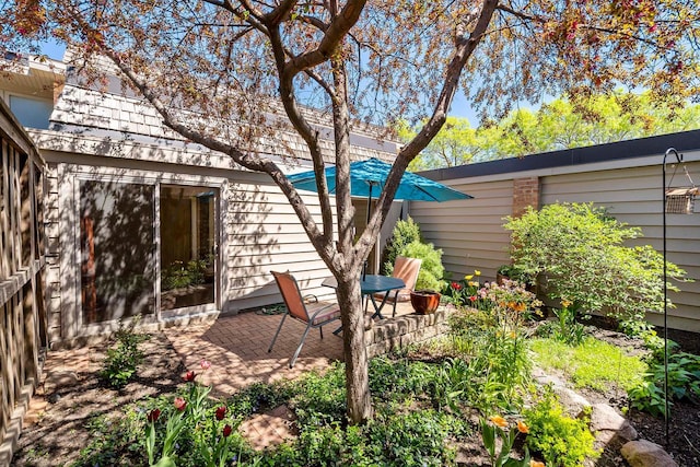 view of yard with a patio