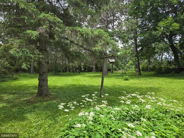318 2nd Ave SW, Milltown, WI 54858 - photo 45