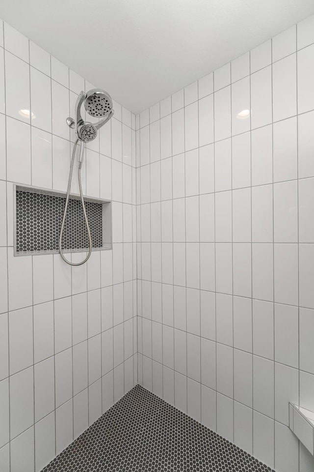 1261 Skyview Cir NW, Rochester, MN 55901 - bathroom featuring a tile shower