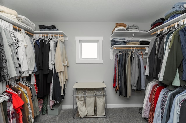 1261 Skyview Cir NW, Rochester, MN 55901 - walk in closet with carpet flooring