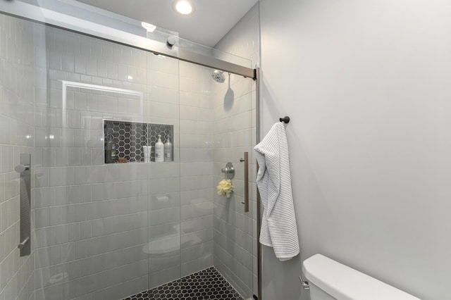 1261 Skyview Cir NW, Rochester, MN 55901 - bathroom with toilet and a shower stall