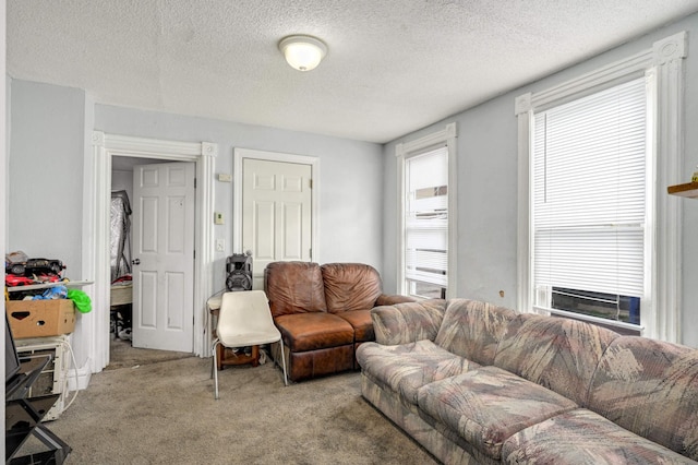 carpeted living room featuring a textured ceiling