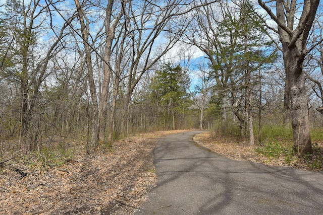 16881 169th Ave SE, Big Lake, MN 55309 - view of road with a forest view
