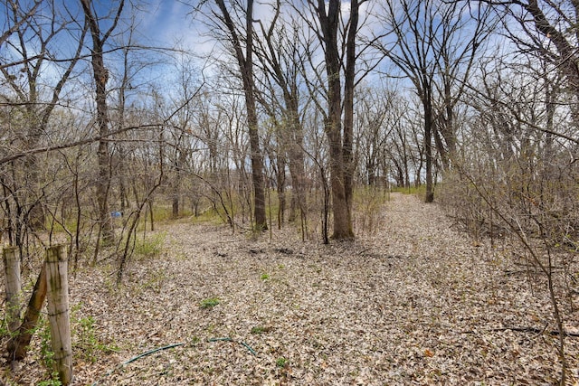 16881 169th Ave SE, Big Lake, MN 55309 - view of landscape