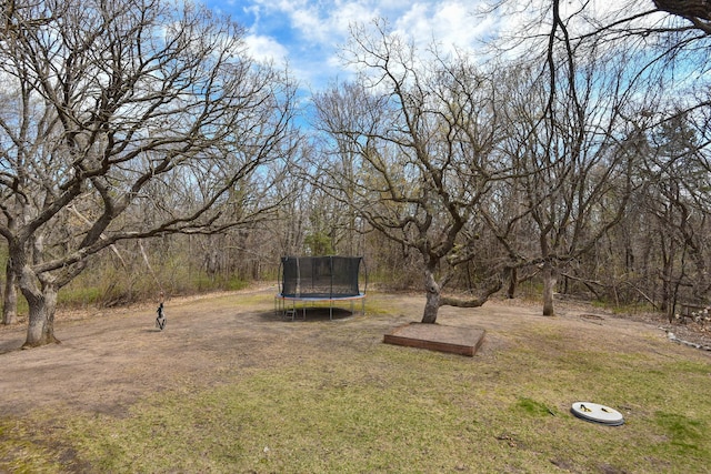 16881 169th Ave SE, Big Lake, MN 55309 - view of yard featuring a trampoline