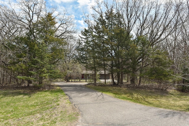 16881 169th Ave SE, Big Lake, MN 55309 - view of road featuring aphalt driveway
