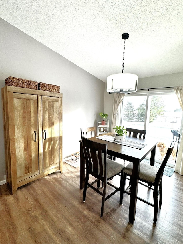 606 Tenth St W, Park Rapids, MN 56470 - dining area featuring wood finished floors, a chandelier, a textured ceiling, and vaulted ceiling