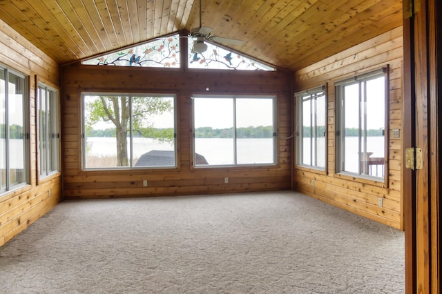 12056 Everton Ave N, Hugo, MN 55110 - unfurnished sunroom with a water view, healthy amount of natural light, and lofted ceiling