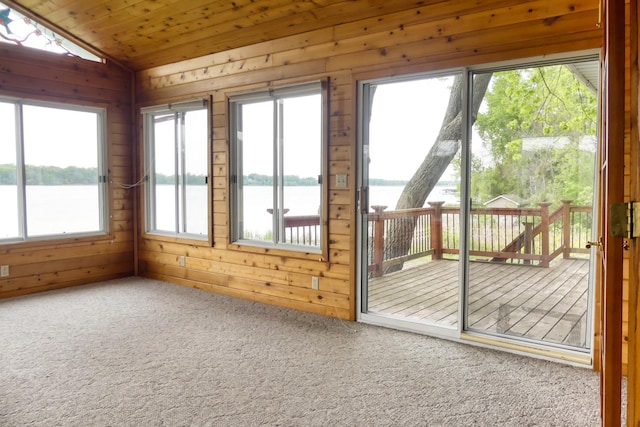 12056 Everton Ave N, Hugo, MN 55110 - unfurnished sunroom with a water view and lofted ceiling