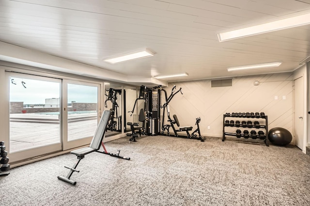 workout room featuring carpet