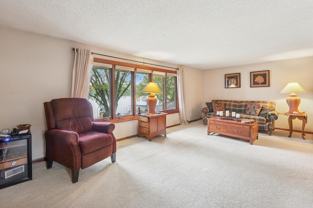2060 Donnelly Dr NW, Maple Lake Twp, MN 55313 - carpeted living room with baseboards and a textured ceiling