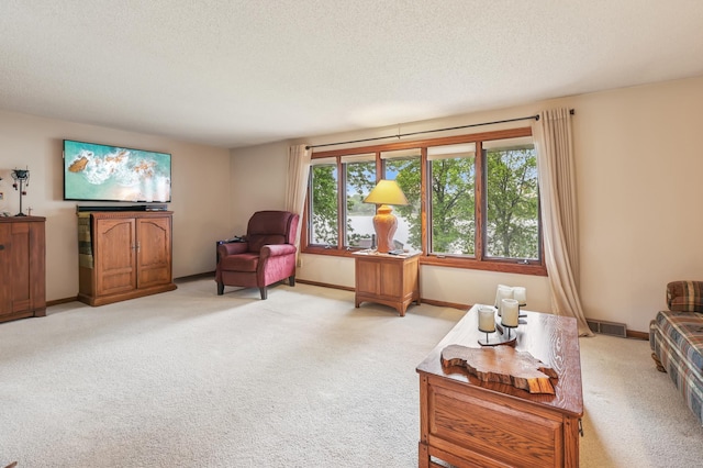 2060 Donnelly Dr NW, Maple Lake Twp, MN 55313 - living room featuring light colored carpet, a textured ceiling, and baseboards