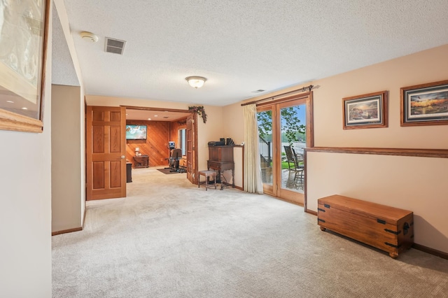 2060 Donnelly Dr NW, Maple Lake Twp, MN 55313 - sitting room with carpet, a textured ceiling, and baseboards
