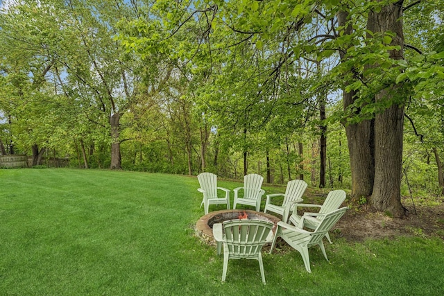 18701 Delton Ave, Minnetonka, MN 55345 - view of grassy yard with a fire pit
