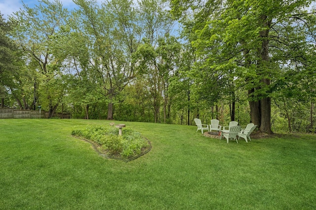 18701 Delton Ave, Minnetonka, MN 55345 - view of yard