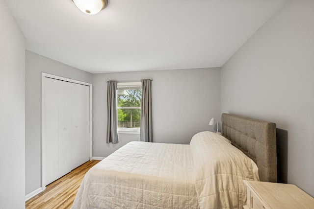 18701 Delton Ave, Minnetonka, MN 55345 - bedroom with light wood-type flooring and a closet