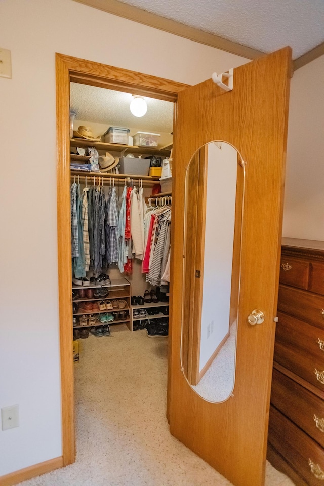 view of closet
