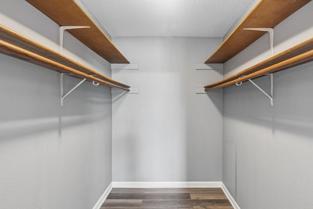221 Grand Ave W Unit 111, South Saint Paul, MN 55075 - spacious closet with dark wood finished floors