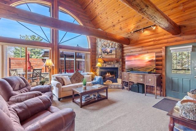 510 State Rd Unit 35, Centuria, WI 54024 - carpeted living area with plenty of natural light, rail lighting, wood ceiling, and beam ceiling