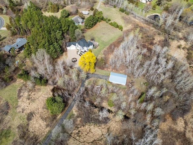 bird's eye view