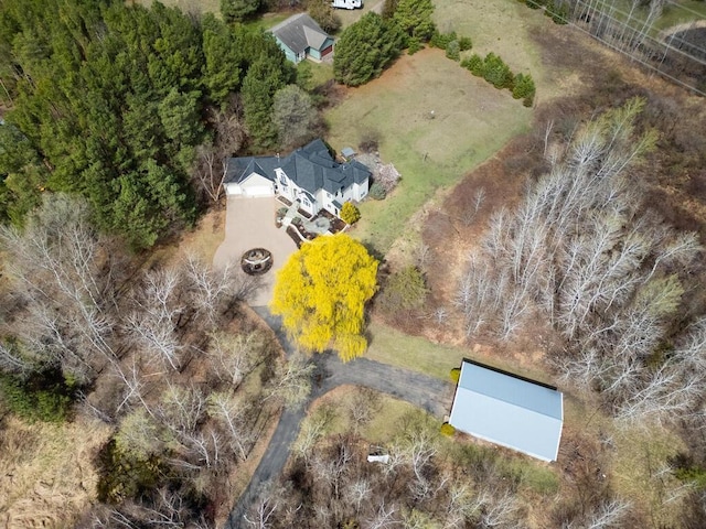 bird's eye view