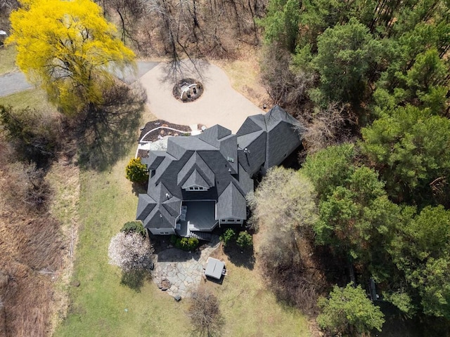 aerial view
