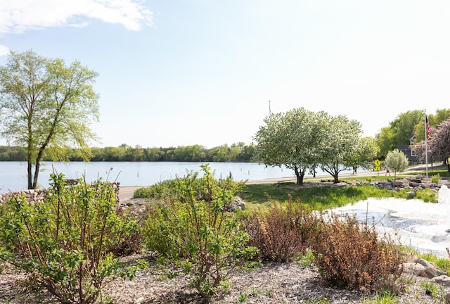 2225 Ranchview Ln N Unit 9, Plymouth, MN 55447 - water view