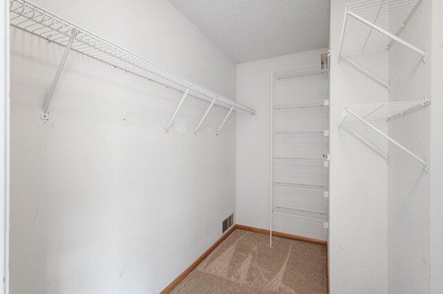 spacious closet with carpet and visible vents