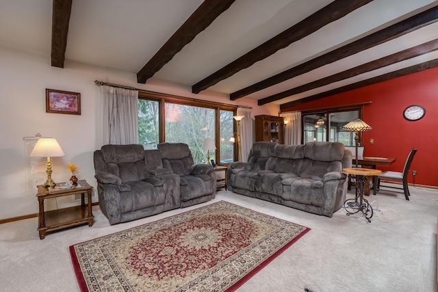 829 Church St, Saint Peter, MN 56082 - living area with carpet and baseboards