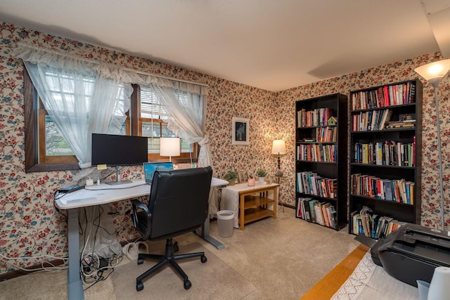 829 Church St, Saint Peter, MN 56082 - carpeted home office with wallpapered walls