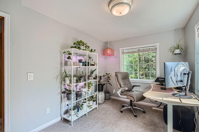 8 Queen Ave S, Minneapolis, MN 55405 - home office with baseboards, carpet, and a textured ceiling