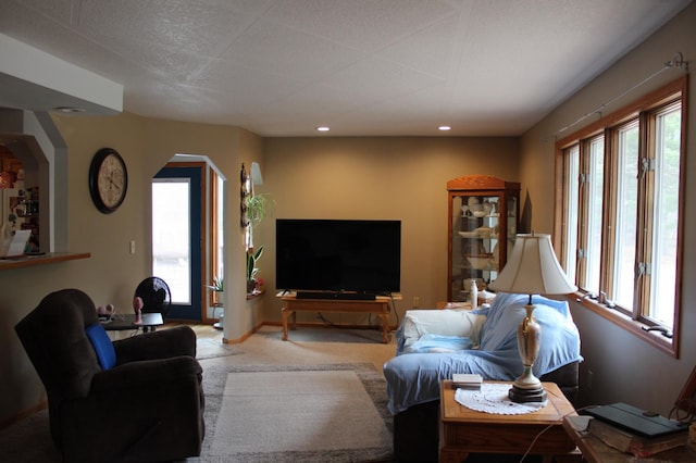 14879 Benson Rd, Grantsburg, WI 54840 - living room with arched walkways, baseboards, carpet flooring, and recessed lighting