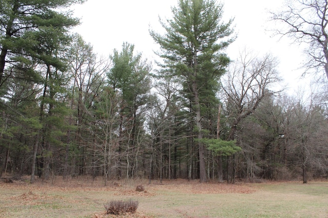14879 Benson Rd, Grantsburg, WI 54840 - view of landscape with a view of trees