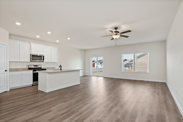 10213 Twin Lakes Pkwy NW, Elk River, MN 55330 - kitchen featuring stainless steel appliances, recessed lighting, open floor plan, and wood finished floors
