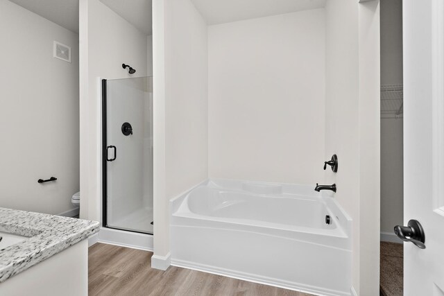 10213 Twin Lakes Pkwy NW, Elk River, MN 55330 - bathroom with a stall shower, a bath, vanity, and wood finished floors