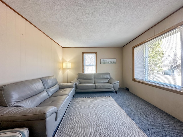 carpeted living area with a textured ceiling