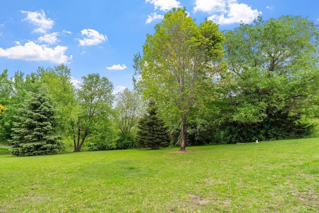 374 Indigo Trl, Troy Twp, WI 54022 - view of green lawn