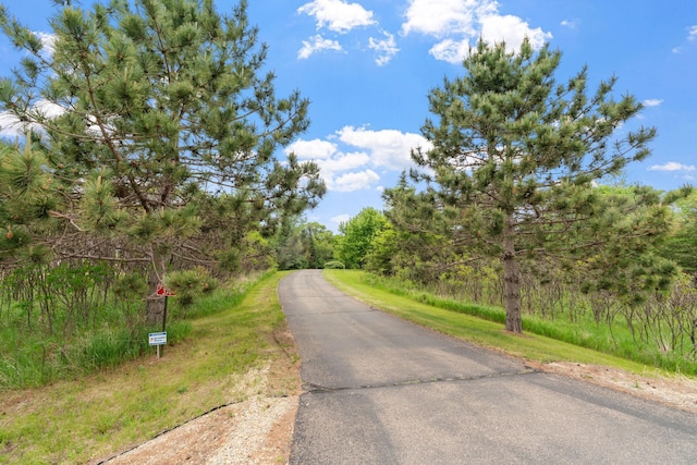 374 Indigo Trl, Troy Twp, WI 54022 - view of street