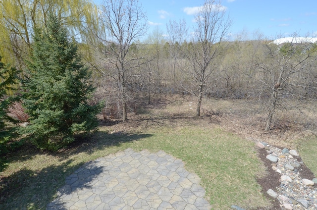 19863 Iberis Ave, Lakeville, MN 55044 - photo 48