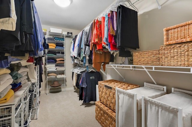 1760 Waterford Ct, Golden Valley, MN 55422 - walk in closet with carpet