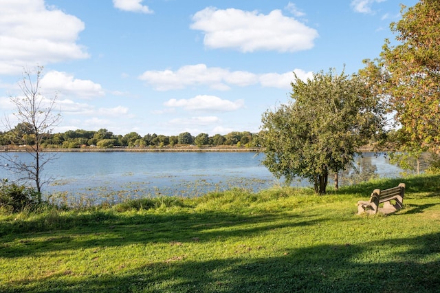 1760 Waterford Ct, Golden Valley, MN 55422 - property view of water