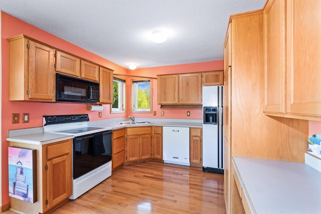402 13th Ave NE, Buffalo, MN 55313 - kitchen with white appliances, a sink, light wood-style flooring, light countertops, and a textured ceiling
