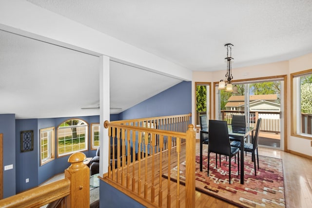 402 13th Ave NE, Buffalo, MN 55313 - dining area featuring wood finished floors and baseboards