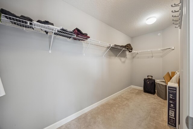 4343 Corn Silk Ln, Woodbury, MN 55129 - walk in closet with light colored carpet