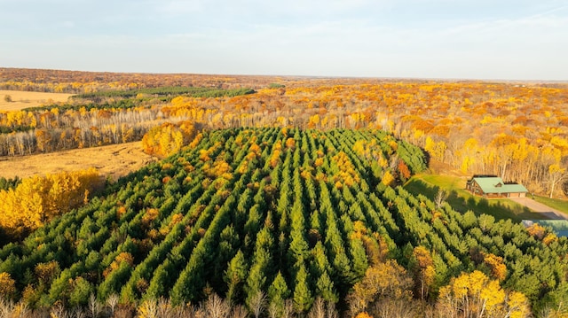2374 320th St, Forest Twp, WI 54005 - bird's eye view featuring a forest view