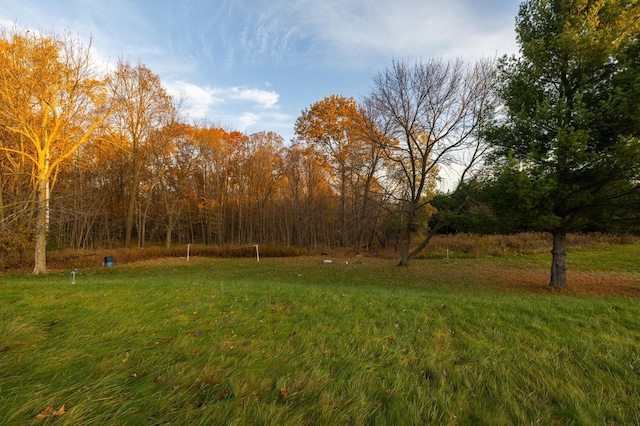 2374 320th St, Forest Twp, WI 54005 - view of yard