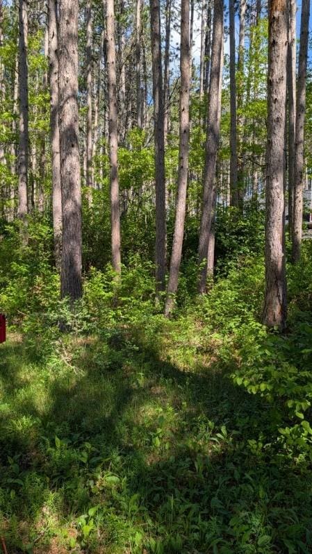 3823 County Road 17, Pequot Lakes, MN 56472 - photo 4