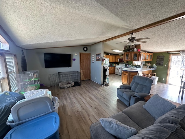living room featuring light wood-style flooring, a textured ceiling, and vaulted ceiling