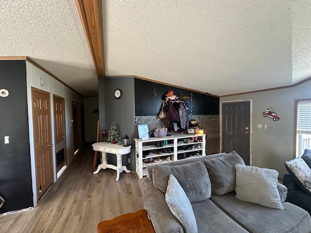 living room featuring wood finished floors, a textured ceiling, and crown molding