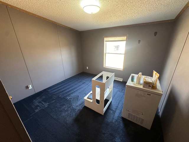 40277 200th St, Roseau, MN 56751 - unfurnished room with a textured ceiling, crown molding, and dark colored carpet